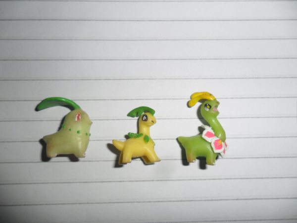 Pokemon - Evoluçoes Chikorita